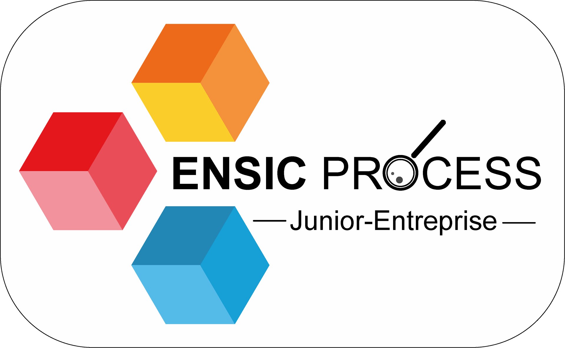 Ensic Process